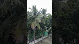 আপনার শরীর অসুস্থ আপনি এই দোয়াটি পাঠ করুন  #shorts  #viralvideos