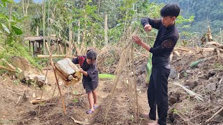 The homeless boy went to harvest cabbages to sell and bought the girl a new set of clothes