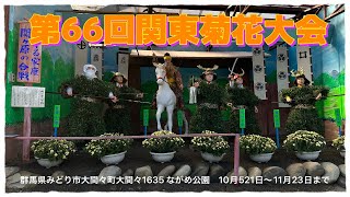 【第66回関東菊花大会】群馬県みどり市大間々町大間々【ながめ公園】11月10日見頃#関東菊花大会#ながめ公園