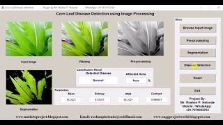 Corn Leaf Disease Detection Using Matlab Project Source Code