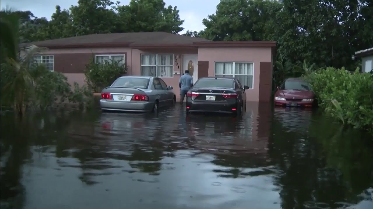 Flooding Continues A Day After Eta For Some Parts Of Broward County ...