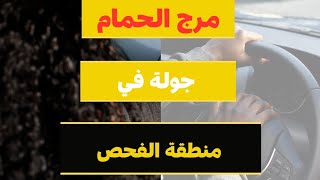 كيف أنجح في رخصة السواقة | جولة في ترخيص مرج الحمام