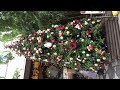 横浜中華街☆聘珍樓のクリスマスツリー yokohama chinatown christmas tree.