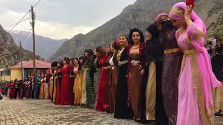 Hakkari Taşbaşı Köyü Düğünleri / Şexaniya Oremarya Yeni Halay Kurdish Wedding 2022