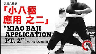 武壇八極拳『小八極應用 之二』Wu Tan Bajiquan \