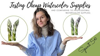 Testing Cheap Watercolor Supplies // Art Shopping // Painting Realistic Asparagus