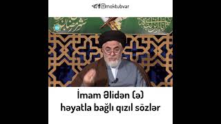 Seyid Əliəkbər Ocaqnejad - İmam Əlidən (ə) həyatla bağlı qızıl sözlər