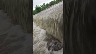 Tanda waterfall beautiful falling water #shots #waterfall #mirzapur