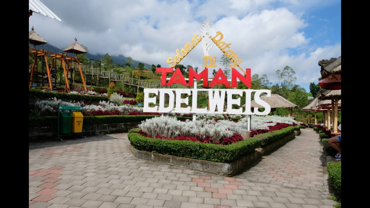 WISATA TAMAN EDELWEISS WONOKITRI, TOSARI PASURUAN | TAMAN BUNGA DI ...