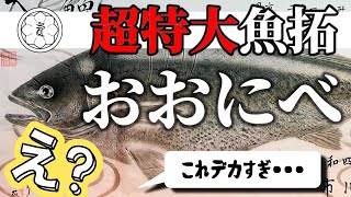 【驚愕の巨大魚！】オオニベの美麗魚拓