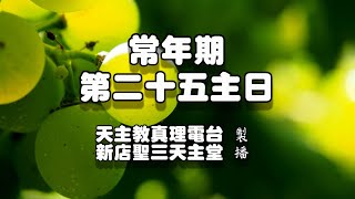 甲年常年期第二十五主日20230924