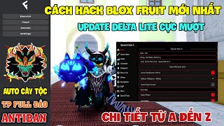 Cách Hack Roblox VNG Blox Fruit, Fish Và Fisch Trên Đt, Ios Và Pc Cập Nhật Script New Siêu Vip