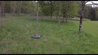 FPV - H-Star 480 Vs NanoQuad 250 BLS