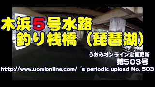 ブラックバスとギル 木浜５号水路釣り桟橋(2016/7)【水中動画の定期更新No.503】