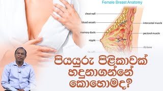 පියයුරු පිළිකාවක් හදුනාගන්නේ කොහොමද? | Piyum Vila | 25 - 05 - 2020 | Siyatha TV