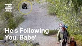 Bear Stalks Family Along Hiking Trail 😳