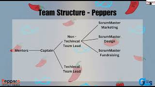How to Manage a Large Team | Peppers 19044 and CyLiis 19403 | FLYSET Workshop