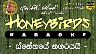 Snehaye Nagarayai Karaoke (Without Voice) ස්නේහයේ නගරයයි කැරෝකේ