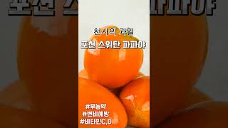 포천파파야 (국내산 무농약 파파야) #장건강  #파파야 #건강 #변비예방#비타민c