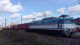 2024.11.23 - ＥＦ８１形貨物列車４０９９レ（西熊本～川尻）