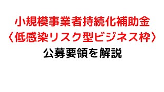 小規模事業者持続化補助金〈低感染リスク型ビジネス枠〉公募要領を解説