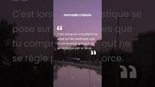 Moustique sur tes TESTICULES - Proverbe Chinois #motivation #proverbes #inspiration