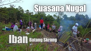 Musim Iban Skrang Tanam Padi Bukit