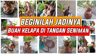 KUMPULAN KREASI BONSAI KELAPA UKIR