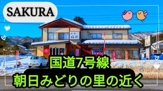 【村上市猿沢】SAKURA【カレー】こだわりのカレーとランチセット