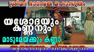 മാടുമേയ്ക്കും കണ്ണാ ; 40-ാമത് അഖിലഭാരത ശ്രീമദ് ഭാഗവത മഹാസത്രം  #art_of_god #mahesh