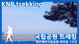 [4K][국립공원 트레킹] 태안해안국립공원 바라길 1구간