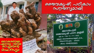 🌱ജൈവകൃഷി പഠികാം സൗജന്യമായി Learn organic farming for free #agrownews