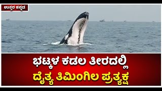 Huge Sized Blue Whale Spotted At Bhatkal Beach ,Karwar | ತಿಮಿಂಗಿಲ | Vijay Karnataka