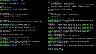 rust dynamic libraries demo
