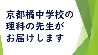 【ドリーム☆スクールTHE MOVIE】光ファイバーツリー＆サイエンスマジック！