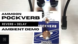 AMMOON POCKVERB AMBIENT DEMO | REVERB + DELAY DEMO