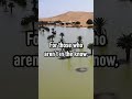 Rare Sahara Desert Transformation: First Lagoons in 50 Years