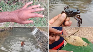 दोन्ही हाताला चावल्या मधमाशा , जंगलात गेलो मध काढायला | थंडगार पाण्यात व्हाळातली अंघोळ  #tejagurav