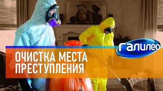 Галилео 👨‍⚖ Очистка места преступления