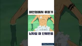 금남의 구역 여인섬에서 루피의 버섯을 없애주려다 남자일 때 단체 반응 15금주의