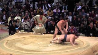 勢 vs 宝富士 2014大相撲九州場所11日目　Ikioi vs Takarafuji  【SUMO】