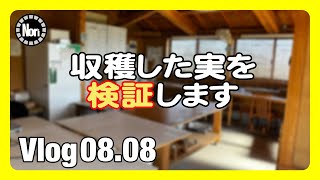 【イチジク栽培】収穫した実を検証