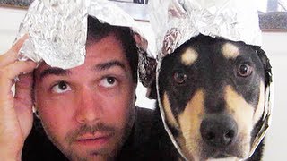 BRAIN PROTECTION!! (8.6.12 - Day 1194)