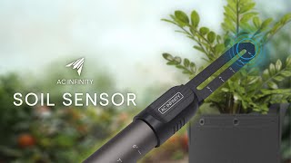 All About the AC Infinity Soil Moisture Sensor