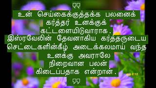 ரூத்தின் சரித்திரம் பாகம் - 4 | வெற்றியும் வாழ்வும் தரும் உன்னத போதனைகள் | சகோ.சாமுவேல்