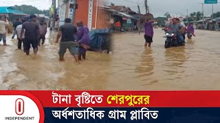 ভারী বৃষ্টিতে শেরপুরের জনজীবন দুর্বিষহ | Sherpur | Flood | Independent TV