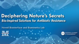 Deciphering Nature's Secrets: Bio-Inspired Solutions for Antibiotic Resistance