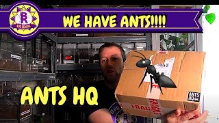 I FINALLY HAVE ANTS!! - THANKS TO ANTS HQ!