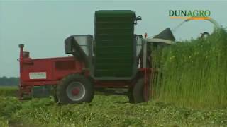 Dunagro Hemp Group |