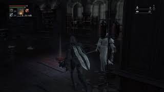 正義を賭けたキャットファイト　三戦目w　Bloodborne